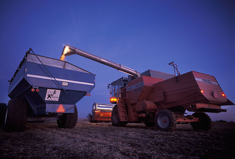 Gary Moon Agriculture Photograph Number 7