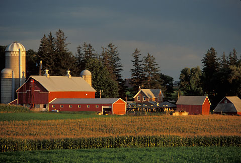 Gary Moon Agriculture Photograph Number 10