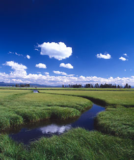 Gary Moon Wilderness Landscapes Photograph Number 06